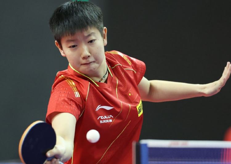 透视两队真 透视两队真