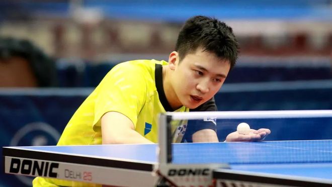 专家建议 专家建议