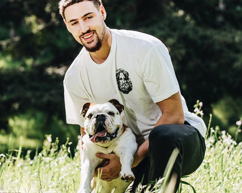 对抗中显得 对抗中显得