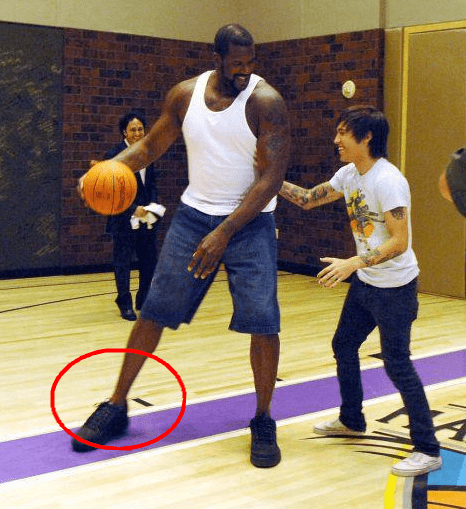 点都更快一 点都更快一